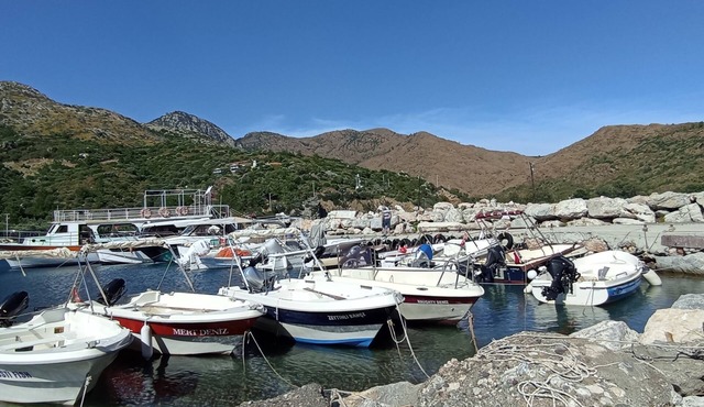 Kardelen apart Mesudiye