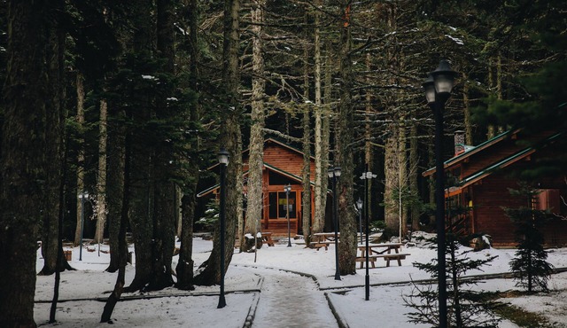 Karinna Forest Houses