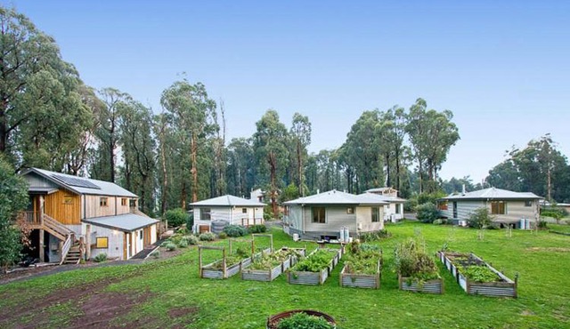 Karma Kinglake