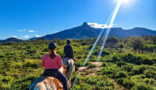 Karoo Donkin