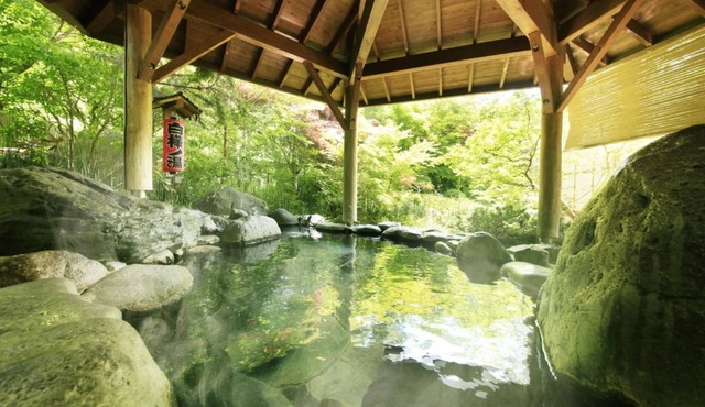 Kasuga No Mori