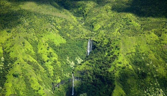 Kauai Airplane Tour: Na Pali Coast, Waterfalls & Window Seats