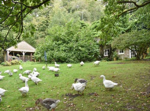 Keeper's Cottage