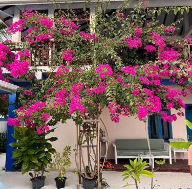 Kendhoo holidays