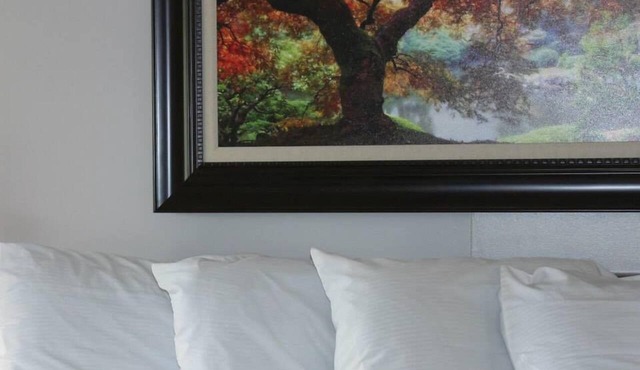 Kentucky Lake Resort & RV Park