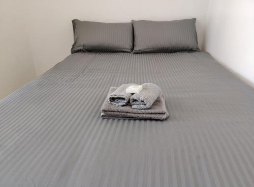 Kenwyn Micro Apartments 2