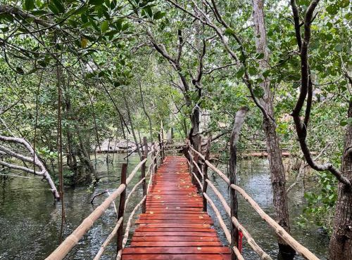 Kerusso Haven