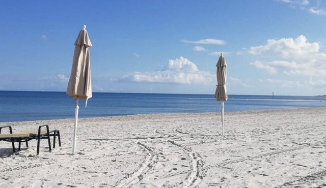 Key Biscayne Beach Vacation