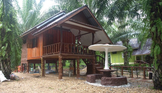 Khaosok Palmview