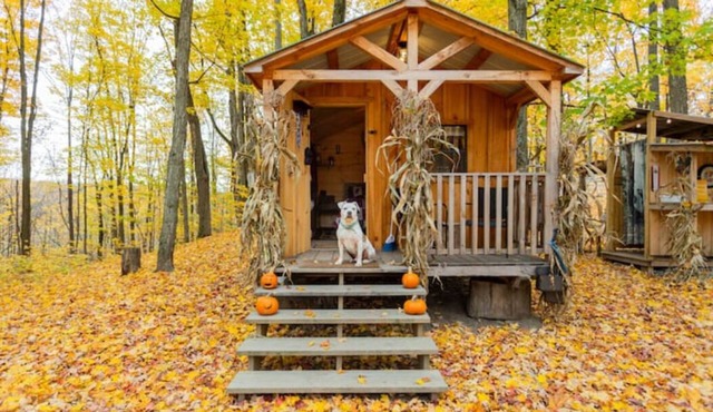 Kid-Friendly Camping - 15 minutes to Six Flags!