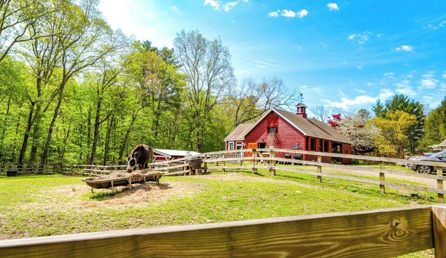 Killingly Barnyard Studio in Wine Country!