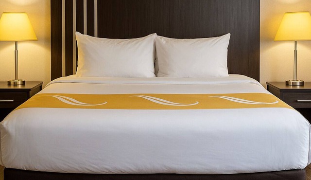 King Bed Suites with Jacuzzi and Pullout Couch(Non Smoking)