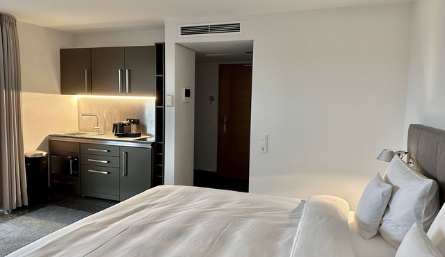 King Double Deluxe Apartment + Balcony