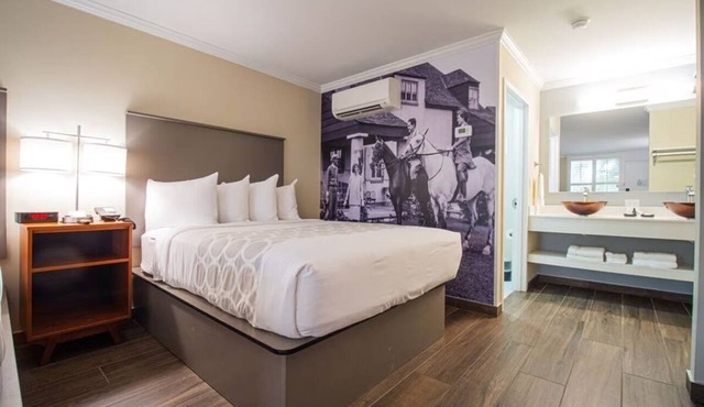 King Junior at Equus Inn, Pet-friendly, Free Breakfast, Free Parking