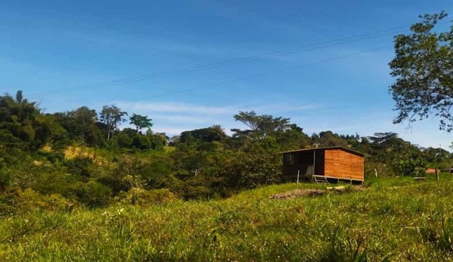 kiosko Rancho Pacho