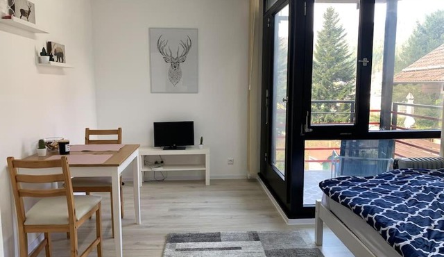Kleines Einzimmer-Apartment 23