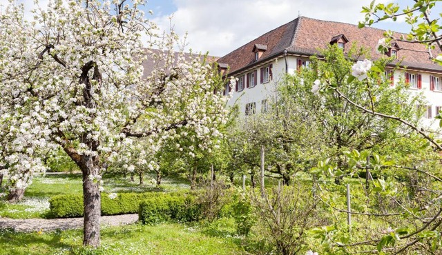 Kloster Dornach/Basel