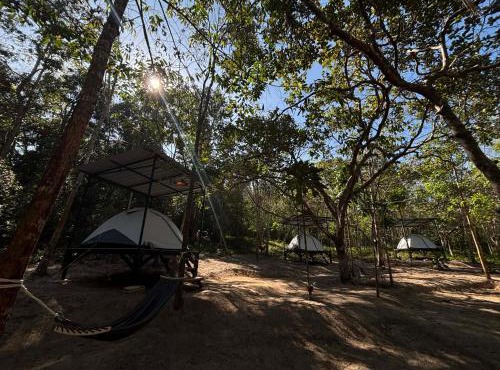 Ko Kut Nature Camp