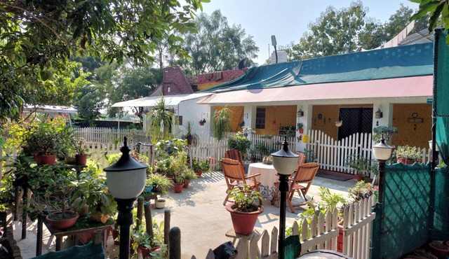 Koko's Farm in Lucknow