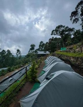 Kolukkumalai camp bookings