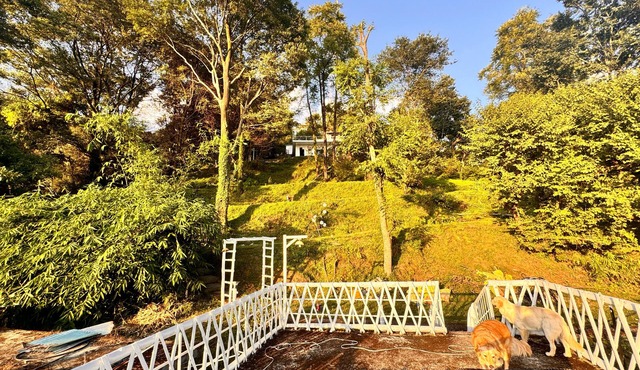 Konoha Retreat