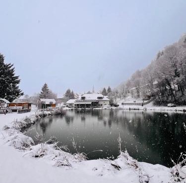 Kozjanski dvor