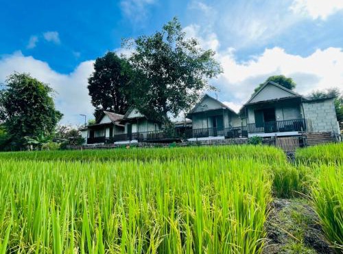 KraThom Doi Luang