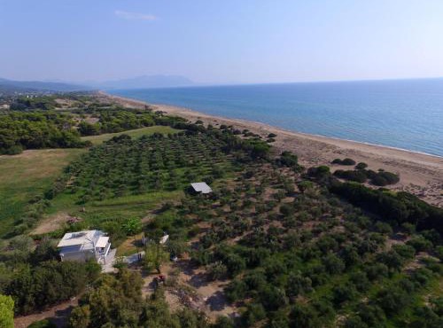 Ktima Bilionis