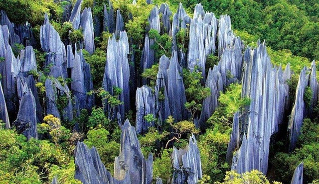 Kunming Private Day Tour to Stone Forest and Chengzi Ancient Town