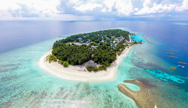 Kuri Beach View Inn