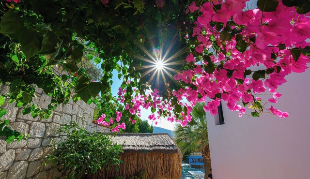 Kybele Alacati