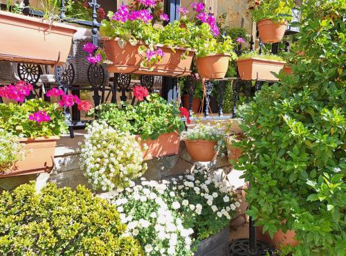 Kyperounta Troodos Mountain House!
