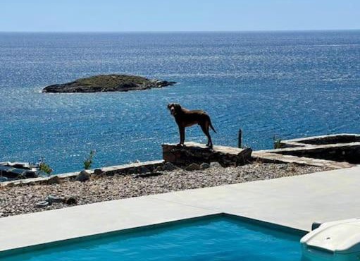 Kythnos beachfront villa with swimming pool