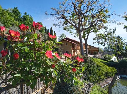 L'Albore