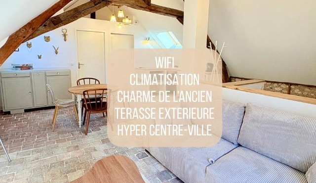 L'Ecrin Saint Denis, petite au centre d'Amboise!