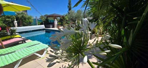 L'Hermine Occitane B&B