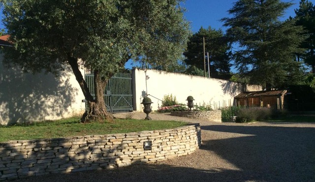 l'olivier