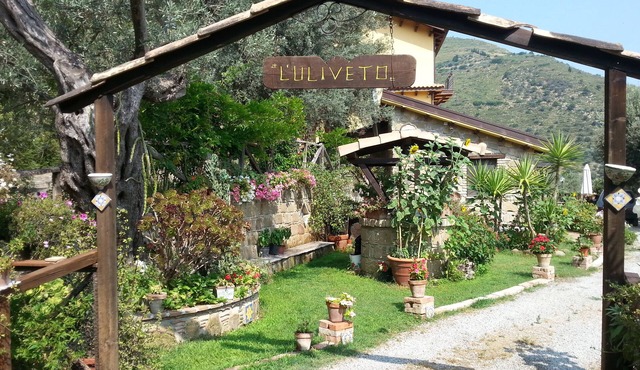 L'Uliveto