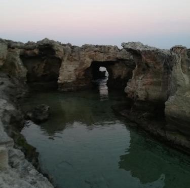 La Baronessa