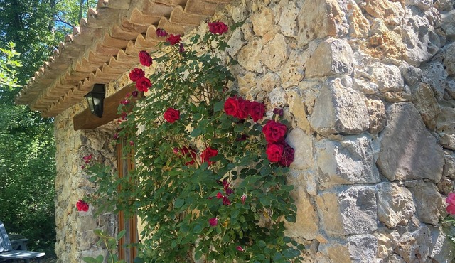 LA BASTIDE DU BAOU