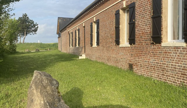 La Bergeronnette