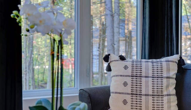 La Bonita | Pet-Friendly near Québec