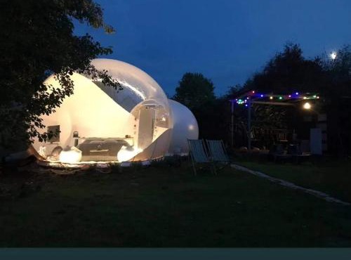 La bulle