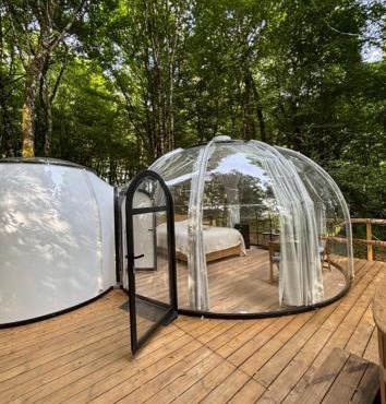 La bulle