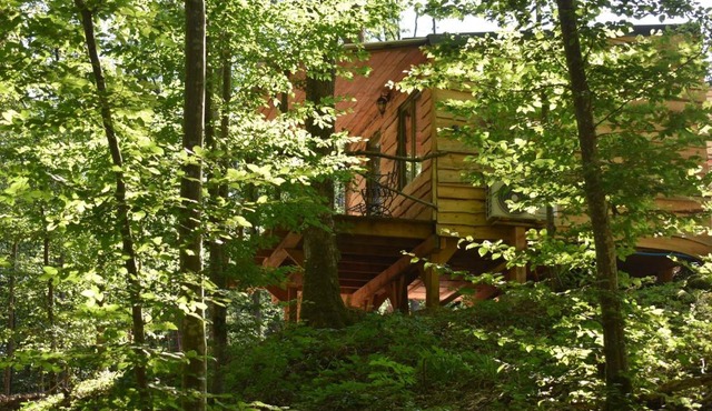La cabane aux écureuils