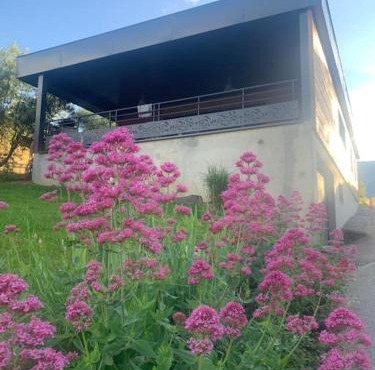 la cabane de Maud