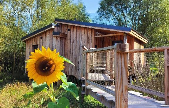 La Cabane d'Ode