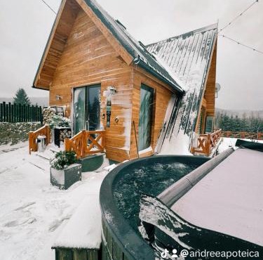 LA CABANE