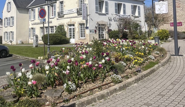 La Capitainerie