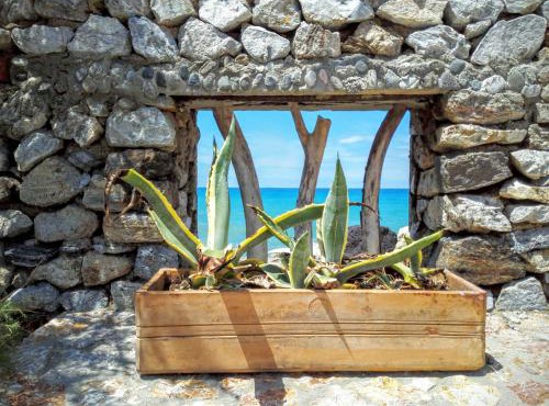La Casa A Mare B&B